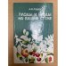 Плоды и ягоды на вашем столе