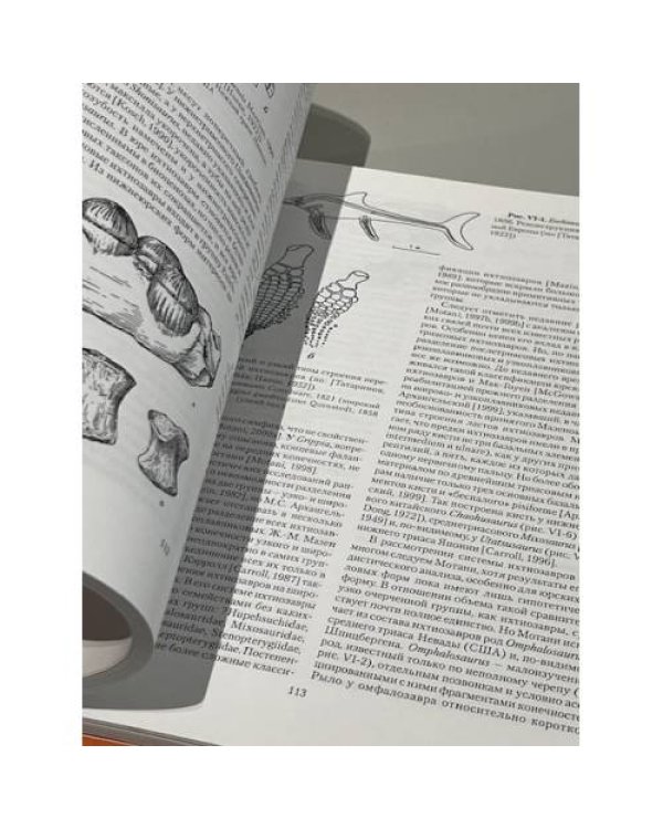 Труды палеонтологического института. Том 290. Очерки по эволюции рептилий
