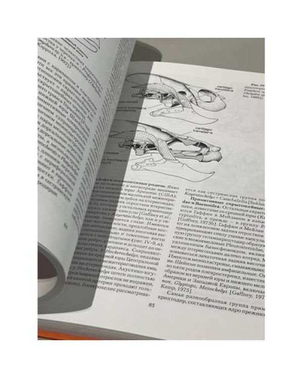 Труды палеонтологического института. Том 290. Очерки по эволюции рептилий