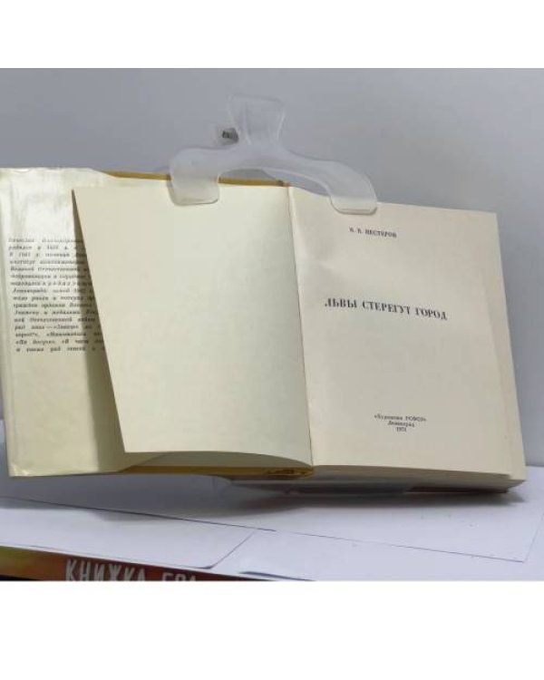 Дополнительное изображение книги «Львы стерегут город»