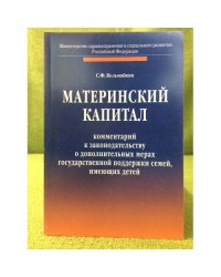 Материнский капитал. Комментарий к законодательству о дополнительных мерах государственной поддержки семей, имеющих детей