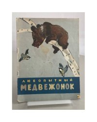 Любопытный Медвежонок
