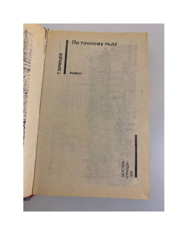 Дополнительное изображение книги «По тонкому льду»