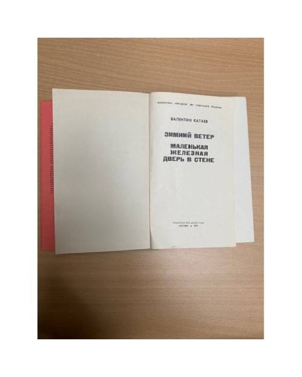 Зимний ветер. Маленькая железная дверь в стене