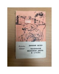 Зимний ветер. Маленькая железная дверь в стене