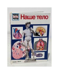 Наше тело
