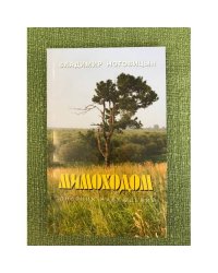 Мимоходом. Дневник наблюдений