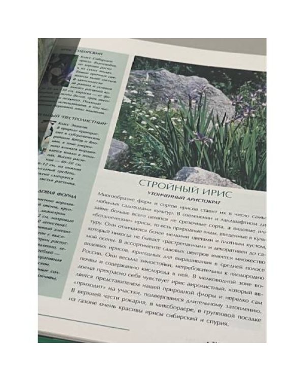 Дополнительное изображение книги «Зелёные хиты сада»