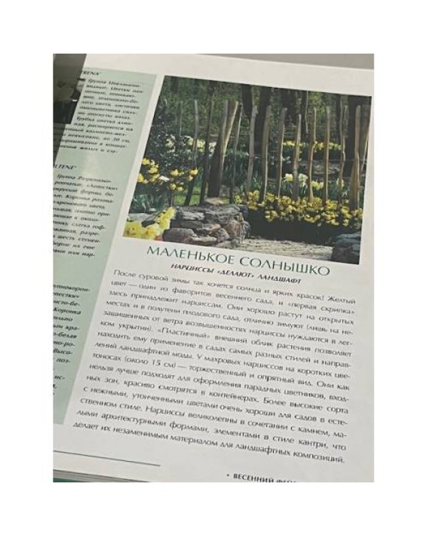 Дополнительное изображение книги «Зелёные хиты сада»