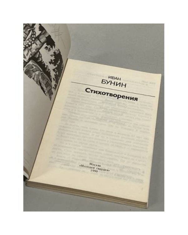 Дополнительное изображение книги «И. А. Бунин. Стихотворения»