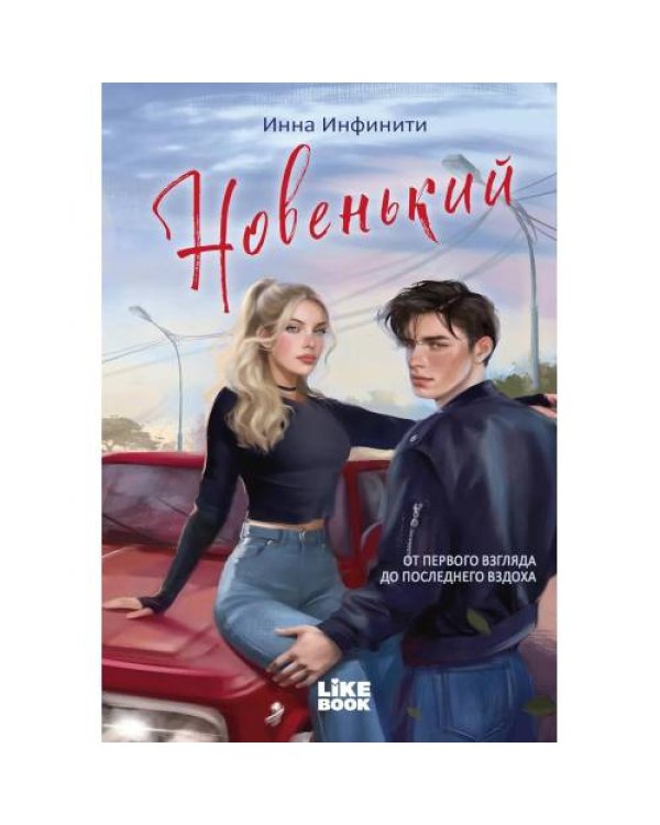 Дополнительное изображение книги «Новенький»