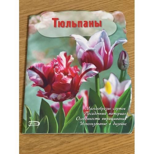 Тюльпаны