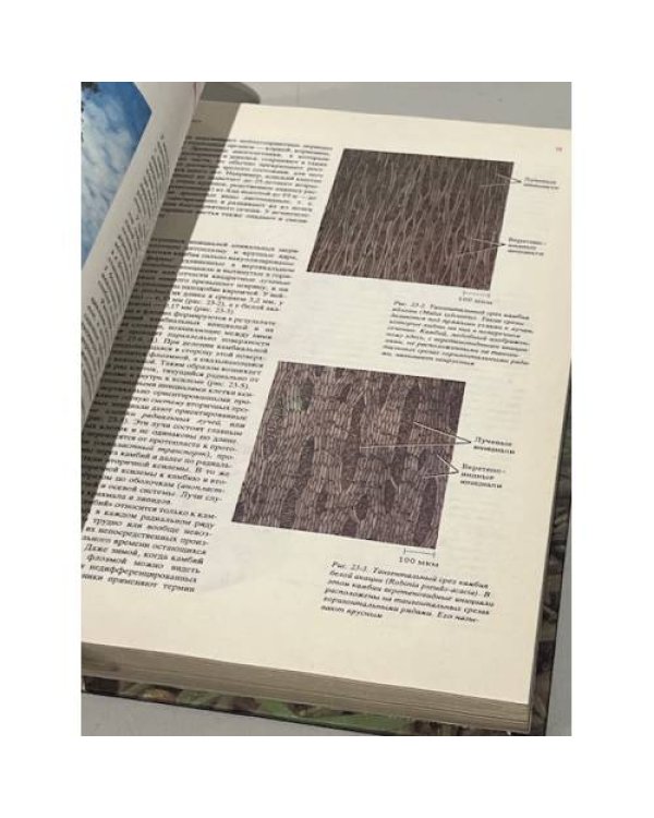 Дополнительное изображение книги «Современная ботаника. В 2-х томах. Том 2»