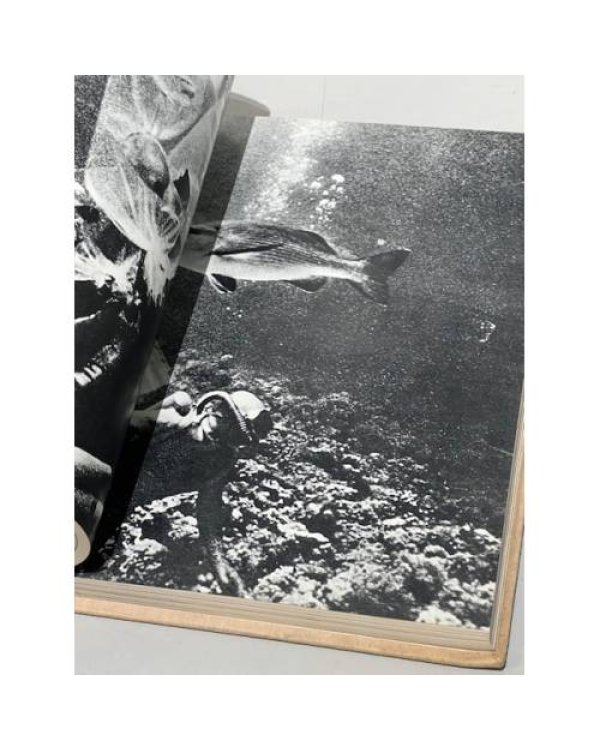 Наука и человечество 1971-1972