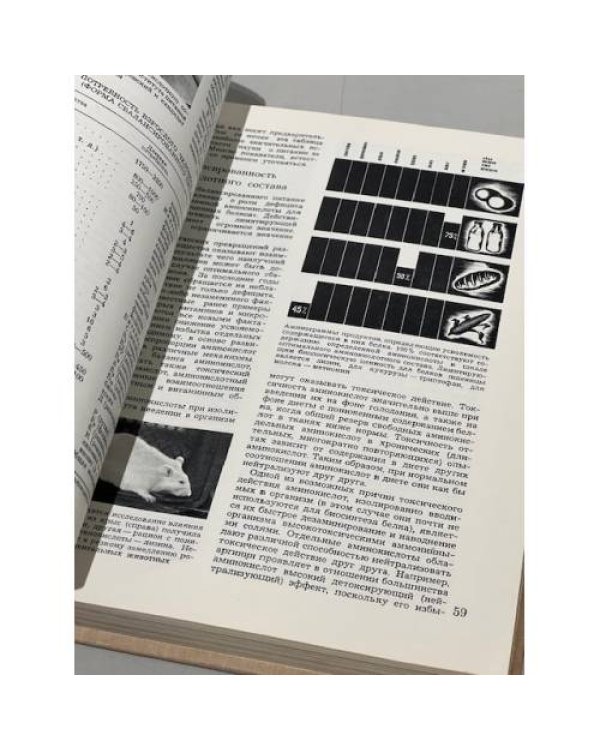 Наука и человечество 1971-1972