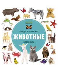 Найди и покажи. Животные. Фотокнига