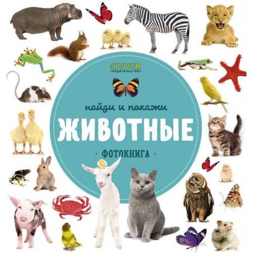 Обложка книги «Найди и покажи. Животные. Фотокнига» — None, ISBN 9785906951984