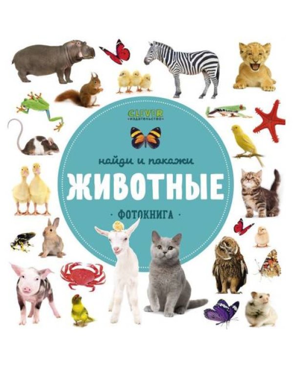 Дополнительное изображение книги «Найди и покажи. Животные. Фотокнига»