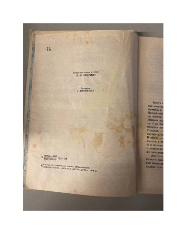 Дополнительное изображение книги «Хрупкая веточка (под реставрацию)»