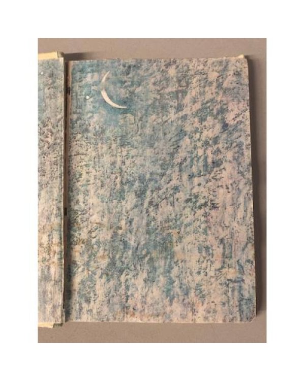 Дополнительное изображение книги «Хрупкая веточка (под реставрацию)»
