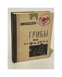 Грибы на асфальте
