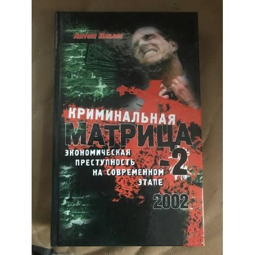 Криминальная Матрица-2. Экономическая преступность на современном этапе