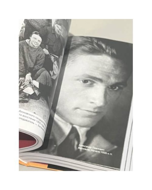 Фамильные ценности. Книга обретенных мемуаров