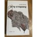 В ту сторону