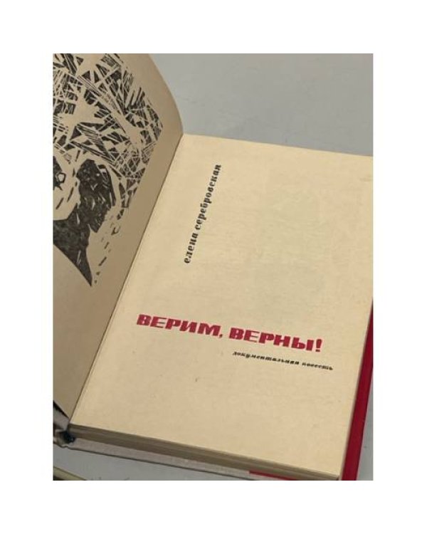 Дополнительное изображение книги «Верим, верны!»