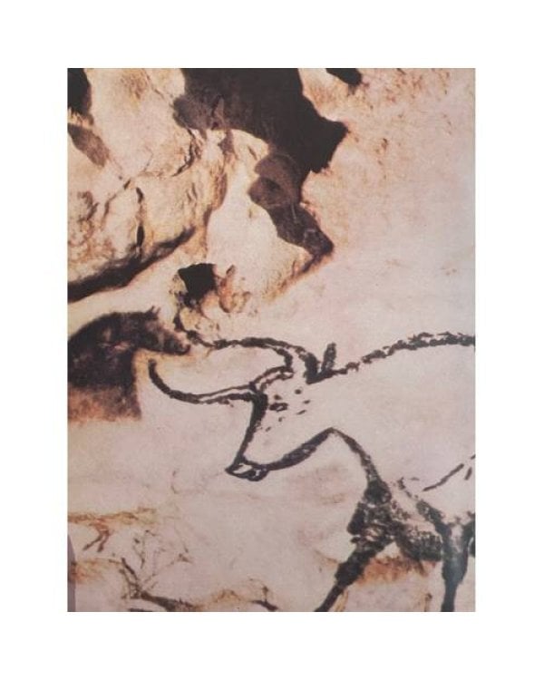 Дополнительное изображение книги «Краткая история искусств»