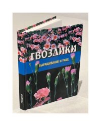 Гвоздики. Выращивание и уход