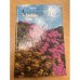 Аристократы сада: красивоцветущие кустарники