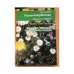 Frauenheilpflanzen Wörterbuch-Ratgeber