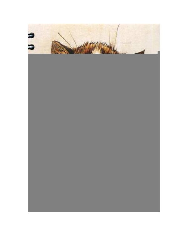 Дополнительное изображение книги «Скетчбук Уэйн. Хлоп!»