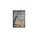 Обложка книги «Христос — наш Первосвященник» — Елена Уайт, ISBN 9785868470707