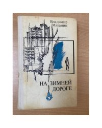 На зимней дороге