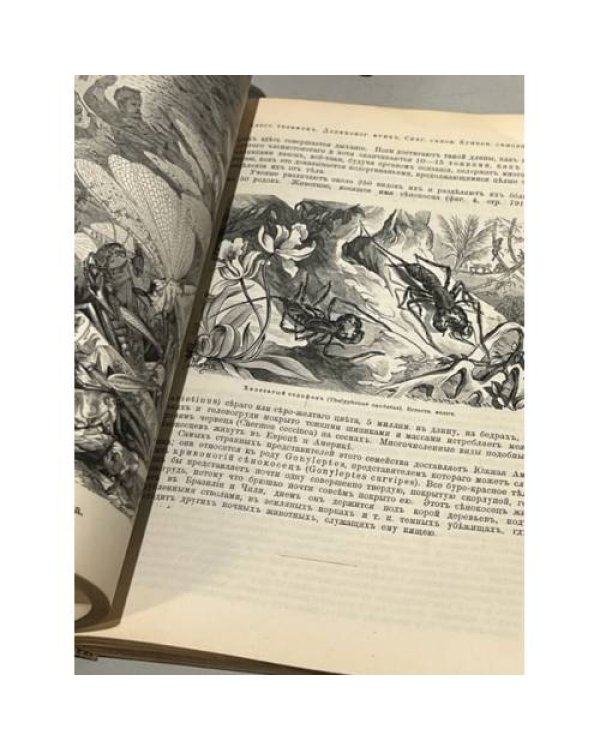  Иллюстрированная жизнь животных. Всеобщая история животного царства А. Брэма. С рисунками, сделанными с натуры под руководством Р. Крэчмера.