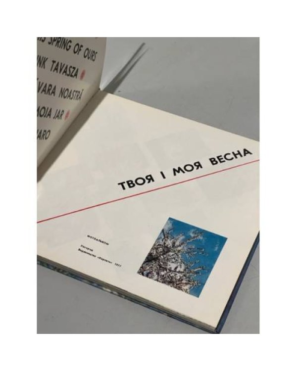 Дополнительное изображение книги «Твоя i моя весна»