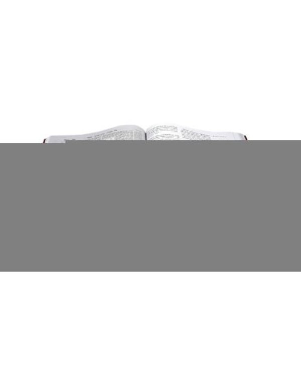 Дополнительное изображение книги «Вавилонский Талмуд. Трактат Сота. Т. 2»