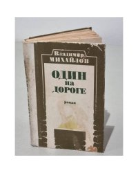 Один на дороге