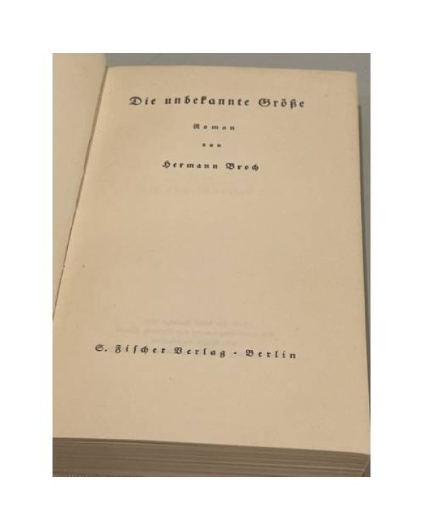 Дополнительное изображение книги «Die unbekannte Größe»