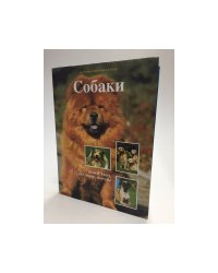Собаки