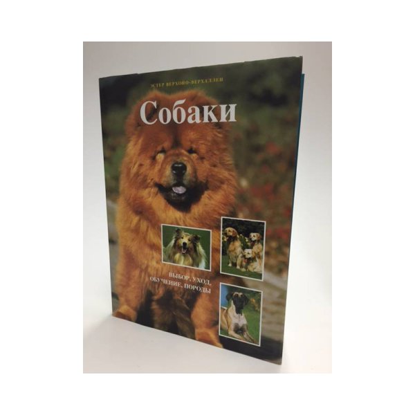 Собаки