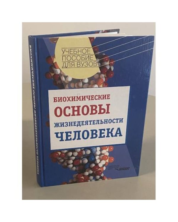 Биохимические основы жизнедеятельности человека