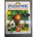 Родничок. Книга для внеклассного чтения в 3 классе