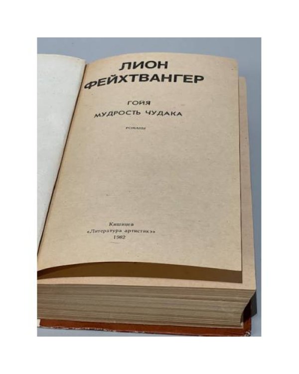 Дополнительное изображение книги «. Гойя. Мудрость чудака (сборник)»