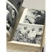 Дополнительное изображение книги «Подшивка журнал ДРУЖБА за 1958 год часть 1 (1-25 номер)»