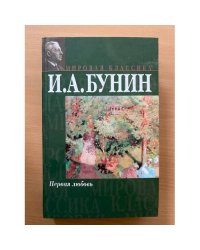 Первая любовь 