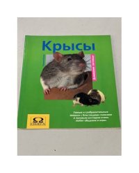 Крысы