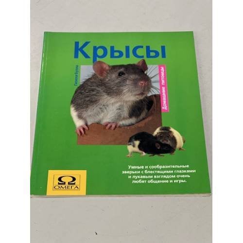 Крысы